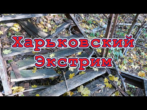 Видео: Тут бы выжить!