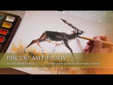 Видео: Тестирую акварельные краски для традиционной китайской живописи Gucai и рисую антилопу