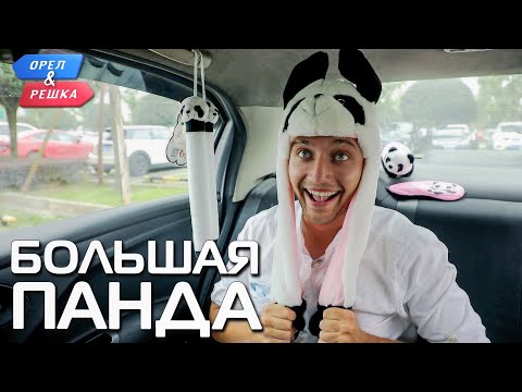 Видео: Большая панда (Китай). Орёл и Решка. Чудеса света (eng, rus sub)