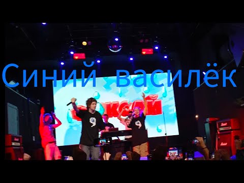 Видео: @FixEye- Синий василёк (Концерт Фиксая, МОСКВА PRAVDA.05.11)