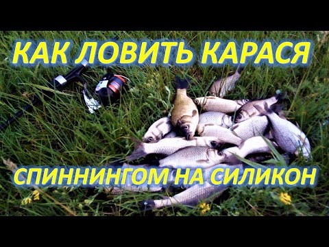 Видео: КАК ЛОВИТЬ КАРАСЯ НА СПИННИНГ И СИЛИКОН