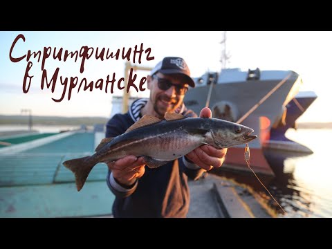 Видео: Рыбалка в Мурманске на спиннинг.