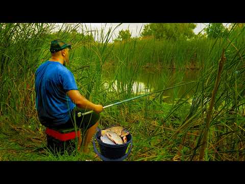 Видео: ВО РЫБАЛКА! ГЛУБИНА 40СМ, А ЛОВЯТСЯ ПО ДВЕ РЫБЫ ЗА РАЗ! Рыбалка на поплавок!