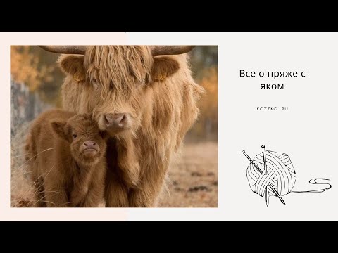 Видео: Все о пряже с яком