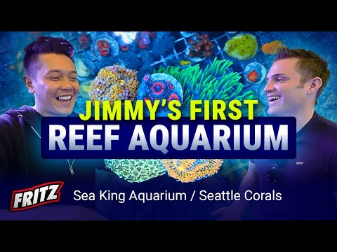 Видео: Все, что вам нужно для запуска вашего первого рифового аквариума, и даже больше