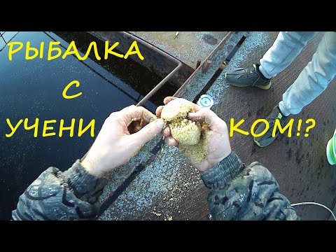 Видео: Ловля разнорыбицы с учеником с понтонов!!!???
