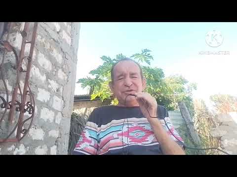 Видео: 357 , ответ бывшей, сидеть будем в соседних клетках