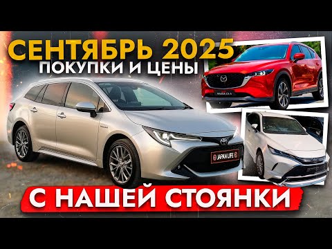 Видео: ЦЕНЫ на АВТО - сентябрь 2025❗ Автомобили под заказ. Бюджетные и премиум авто. Что выгодно купить❓