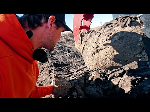 Видео: Новая ферма таит в себе множество сюрпризов!! И массу работы!