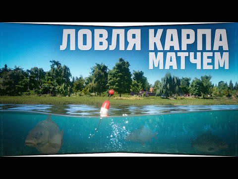 Видео: Форумный турнир • Янтарное озеро • Русская Рыбалка 4