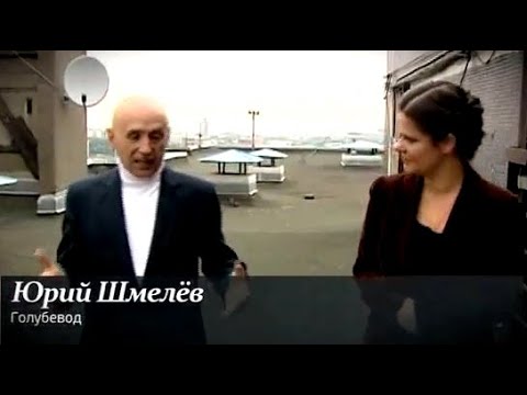 Видео: Москва и голуби (Канал 24, архив)