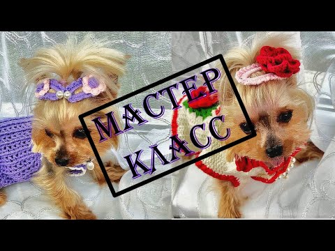 Видео: Мастер-класс 💥 Вяжем крючком заколки клик клак для собак | MC 💥 Crochet click clack pins for dogs❗