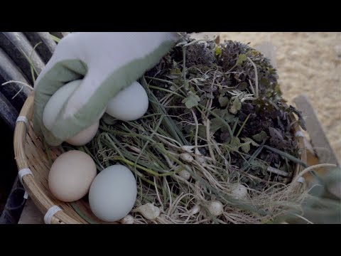 Видео: Корейская сельская деревня ежедневно/Корейская сельская еда/Корейское рагу мисо