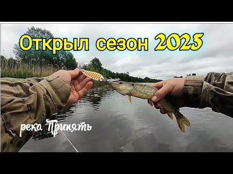 Видео: Река Припять.Березцы.Открытие сезона рыбалки 2025.