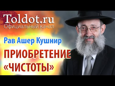 Видео: Рав Ашер Кушнир. О путях приобретения «чистоты». Месилат Йешарим 74