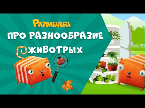 Видео: Развлечёба. Окружающий мир. Про разнообразие животных