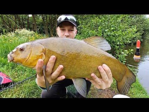 Видео: Оце рибаа! Клють лині монстри на поплавок! Гади зламали вудку! Що робити?