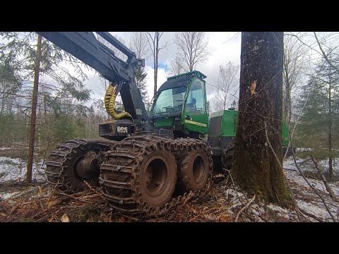 Видео: Закрыли сезон 🌲 Лес.