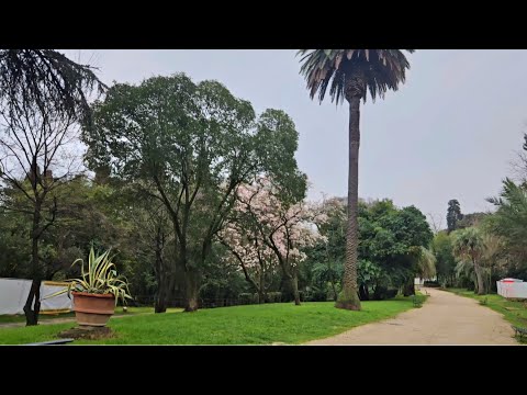 Видео: Вилла Шарра (Villa Sciarra) - паркът на кореняците римляни