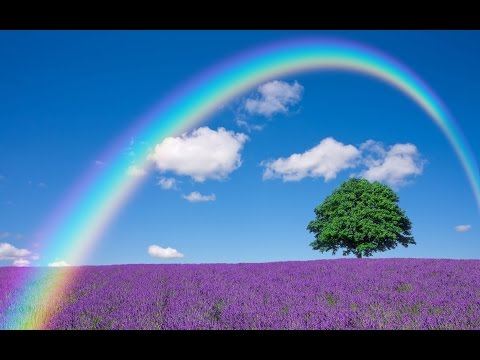 Видео: Природоведение. 2 класс. Что такое ВЕСНА.