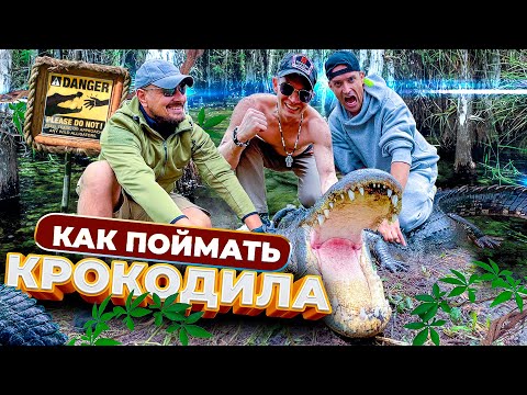 Видео: Аллигатор против крокодила. Не суй руки!! Правила охоты. Инстинкт добытчика. Чего боится Кондрашов?