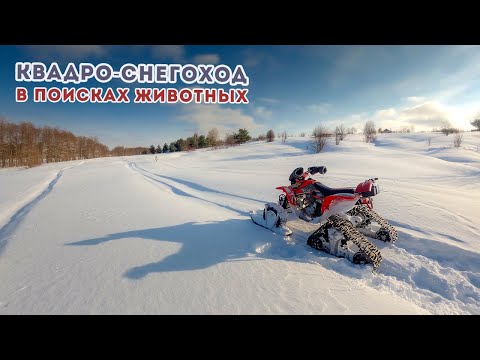 Видео: Спортивный квадроцикл на гусеницах / Фотоохота / Honda TRX400 / Tjd Gen2