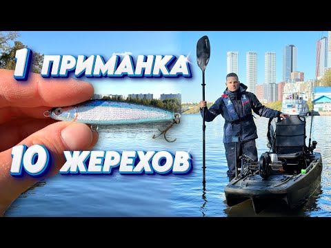Видео: Осенний ЖОР Жереха на Москве реке! Рыбалка на каяке KingFisher. + Ловля на Дроп Шот