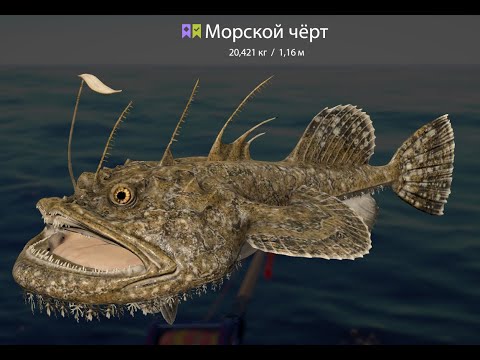 Видео: Русская Рыбалка 4. Медное !!!
