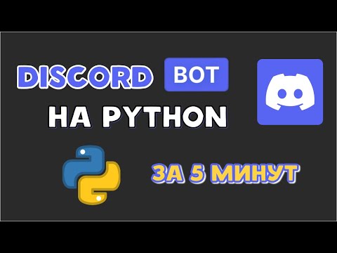 Видео: Как создать ДИСКОРД БОТА на PYTHON? Discord bot