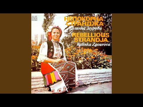 Видео: В Русия, Радо, ще хода