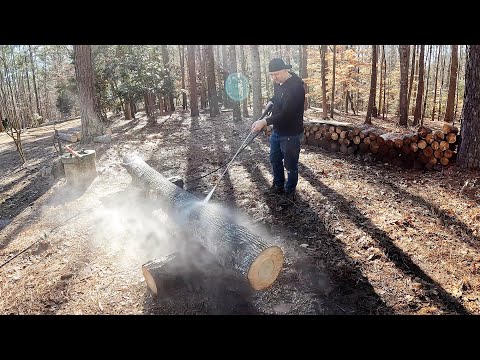 Видео: Привезли Распилить Брёвна на Заказ. Сколько Стоят Доски Тополя в Магазине Home Depot США