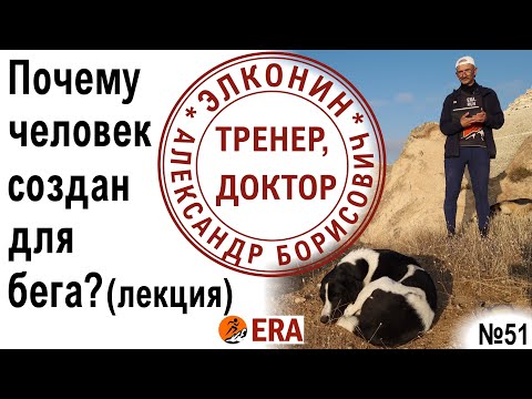 Видео: Почему человек создан для бега? Как физиология человека сделала его самым выносливым бегуном? Лекция