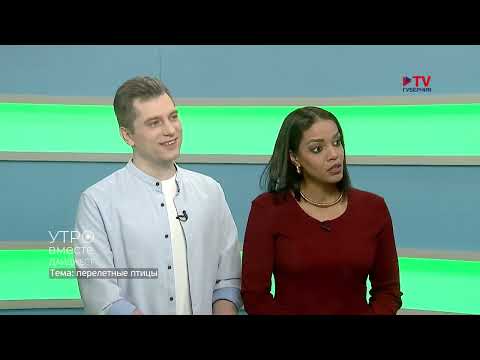 Видео: Какие птицы возвращаются в Воронеж с юга?