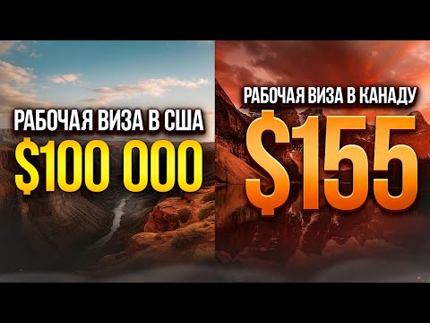 Видео: РАБОЧАЯ ВИЗА В США ТЕПЕРЬ СТОИТ 100 000 ДОЛЛАРОВ? H-1B ВИЗА В США