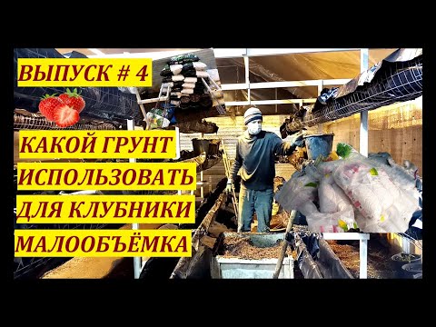Видео: Малообъёмка КЛУБНИКА🍓//Какой грунт использовать//Выпуск#4