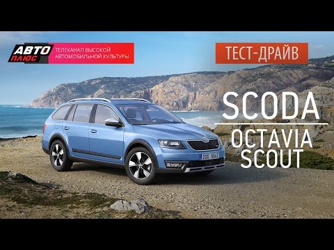 Видео: Тест-драйв - Skoda Octavia Scout 2014 - АВТО ПЛЮС
