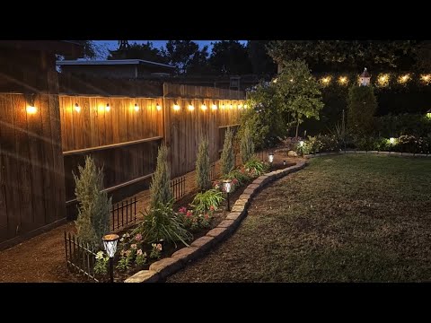 Видео: Обновление посадки изгороди из можжевельника Wichita Blue и драцены ~ сад-скворечники