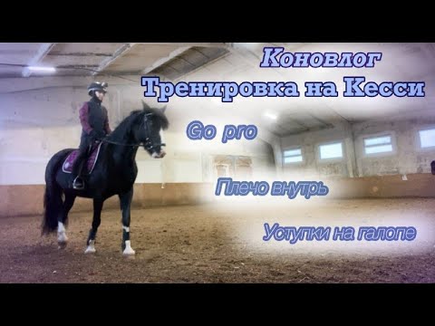 Видео: Коновлог l тренировка на Кесси l Go Pro