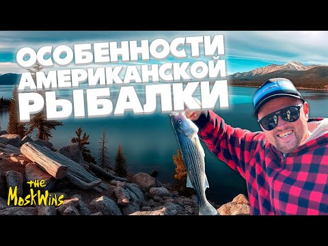Видео: НА КРЮЧКЕ ► УВЛЕКАТЕЛЬНАЯ РЫБАЛКА НА РЕКАХ КАЛИФОРНИИ