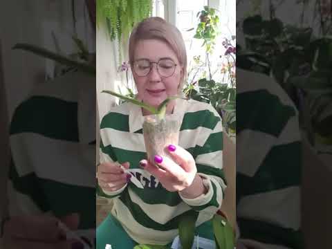 Видео: Эфир 20 марта.