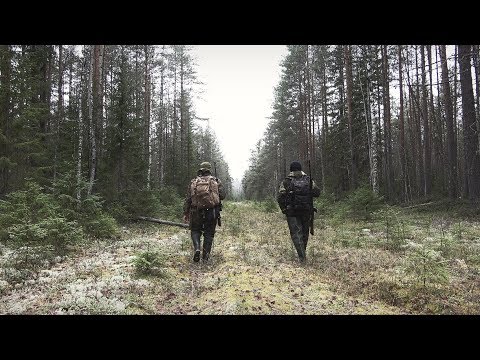 Видео: ОХОТА В ТАЙГЕ КОМИ. БОРОВАЯ ДИЧЬ НА ЗЕМЛЕ. ОХОТА С 22 lr.