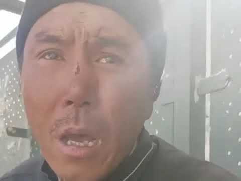 Видео: Арман Қайназаров