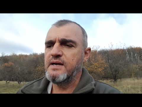 Видео: АРТИ ГРИН 🤫 КТО ОН? АРЕСТОВИЧ ДВА? 🤔  