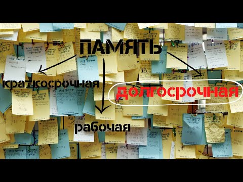 Видео: Долгосрочная память и её особенности