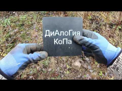 Видео: Поиск кладов с Металлоискателем Nokta Legend. Часть 7. Заброшеные места! #коп_монет #metaldetecting 