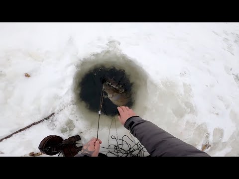 Видео: Рыбалка у чёрной дыры. Ловля налима. Серия пятнадцатая.