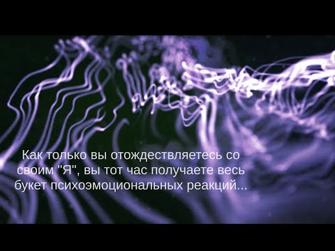 Видео: Вездесущее "Я"