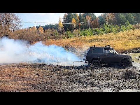 Видео: Выезд в честь дня автомобилиста