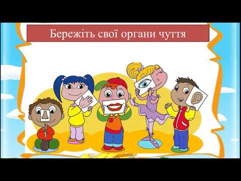 Видео: ЯДС. 1 клас. Органи чуття