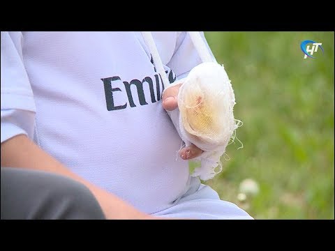 Видео: Восьмилетний новгородец потерял фалангу пальца руки на школьном уличном тренажере